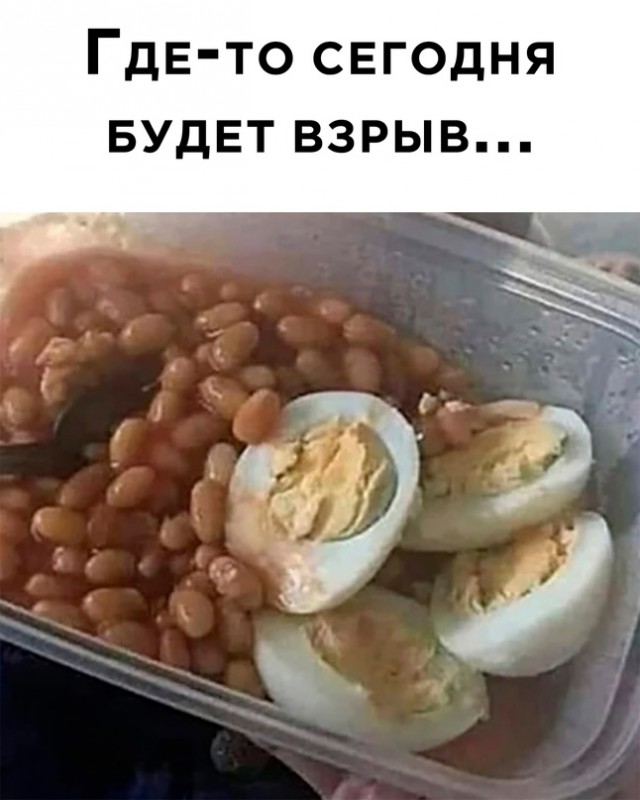 Весёлый полтишок 08.11.22