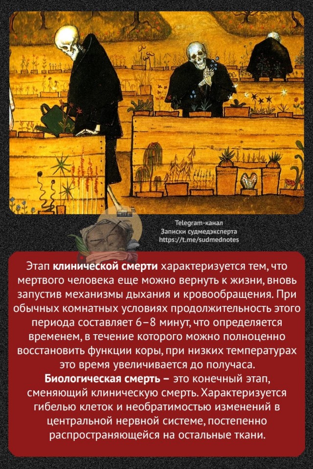 О терминальных состояниях организма