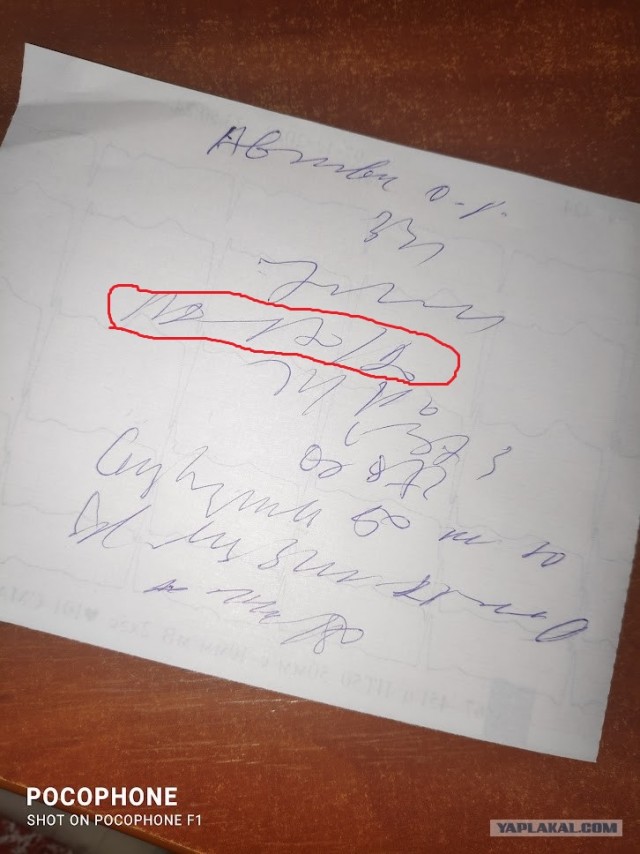Нужен толмач с докторского