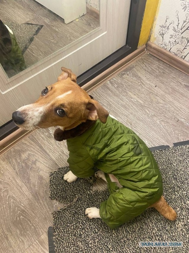 Взгляд