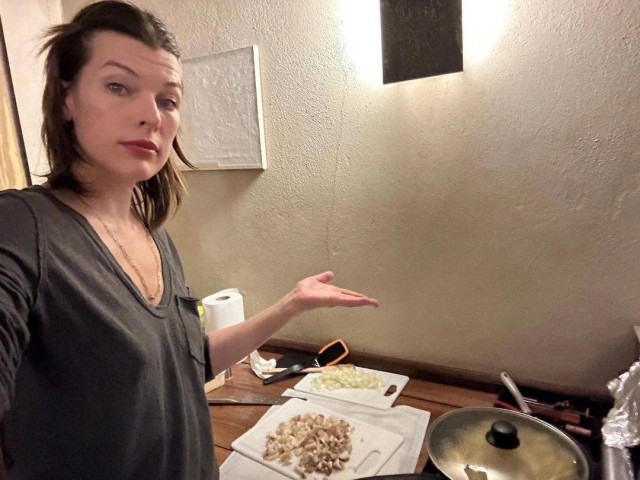 Новогодние хлопоты Миллы Йовович ⁠⁠