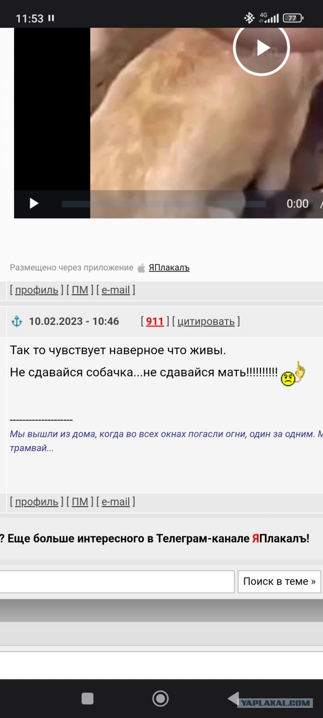 Настоящая мать