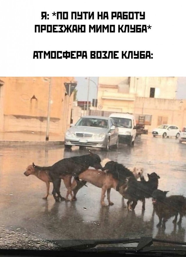 Очередная сборка картинок! Кому баян, кому гармонь, а кому в новинку!