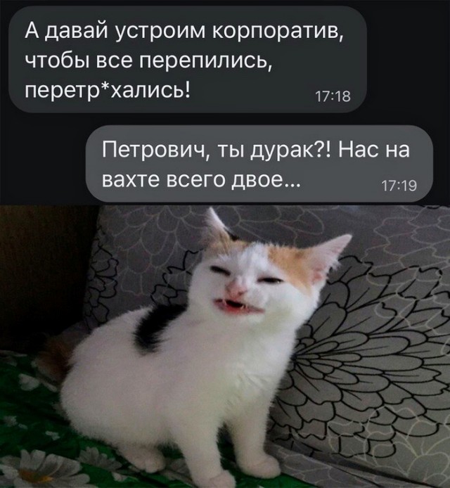 Немного картинок для настроения - 153