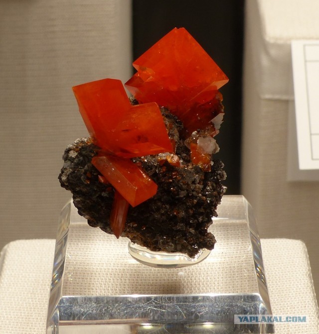 Mineralientage München 2018