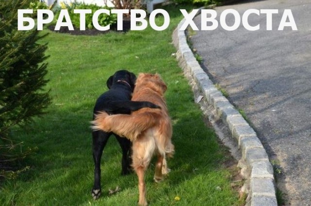 Картинки и мемы, всяко разно - 181