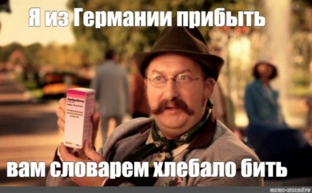 К собакочетвергу, щенята