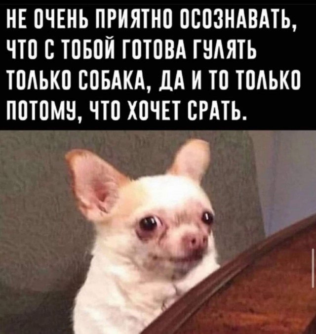 Маленькая пятница