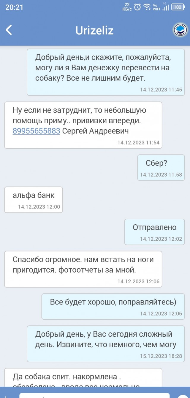 Собакочетверг или как я стал приемным папой