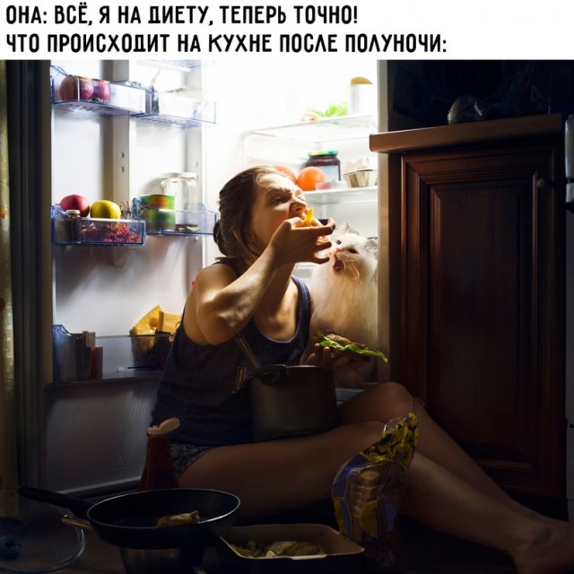 Весёлый полтишок 08.04.24