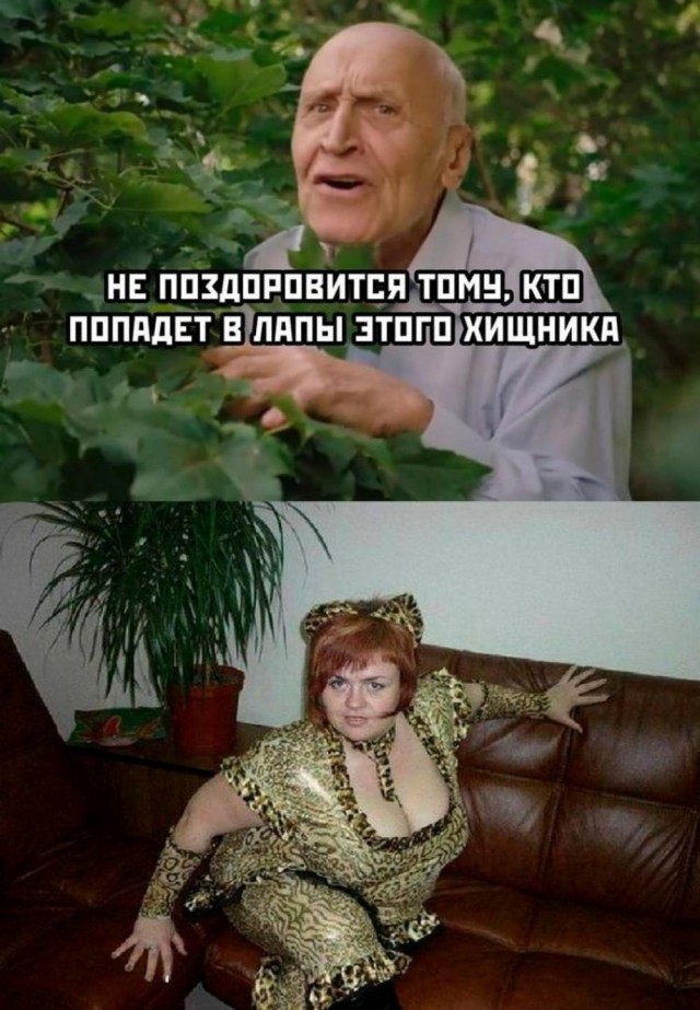 Всего понемногу. От 15.05.24