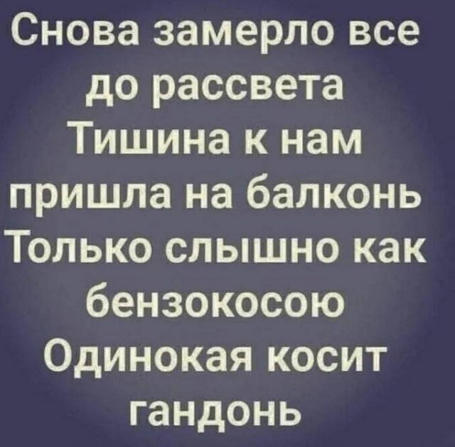 ТРРРидцать тРРРи от 7 мая