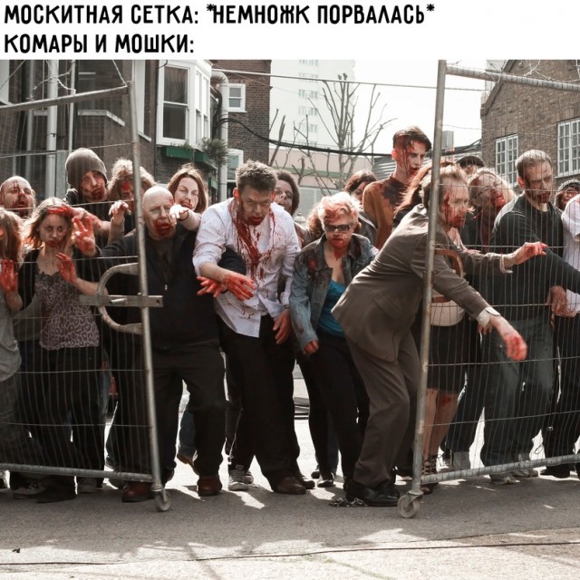 Весёлый полтишок 20.05.24