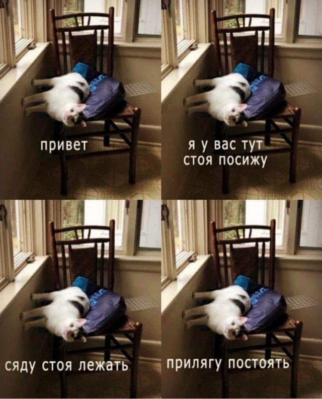 Отряд быстрого деградирования