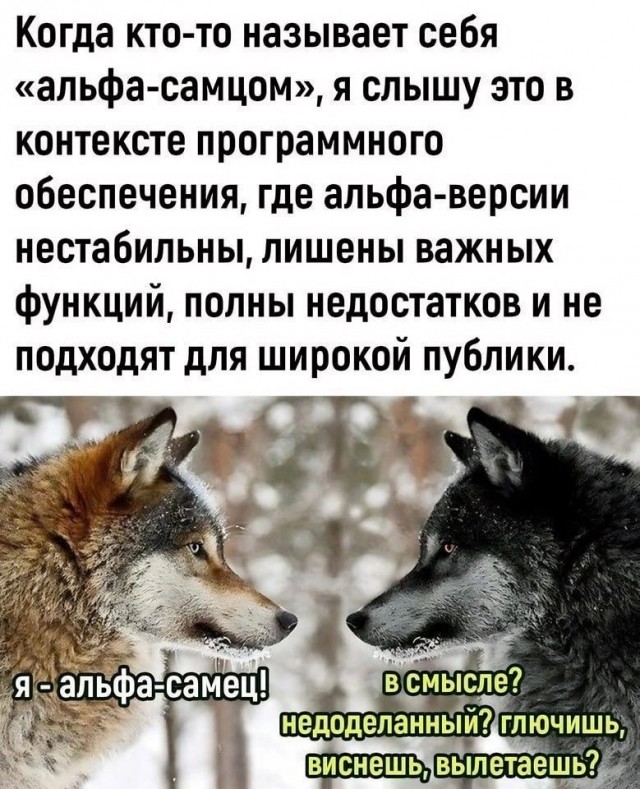 Завалялось тут случайно немного забавных картинок