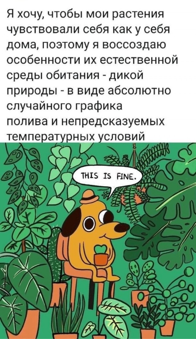 Картинки от Scodero