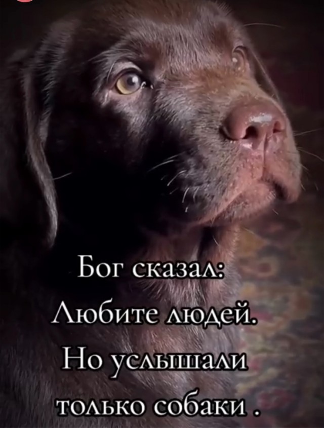 Прикольные и просто красивые картинки 27.09.2024