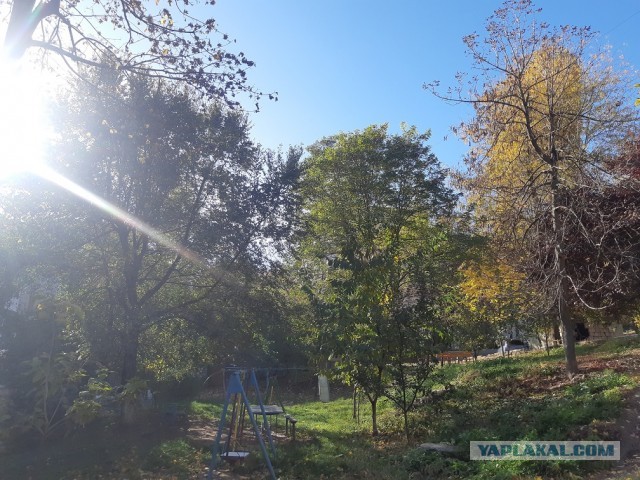 в Кишинёв тоже осень пришла
