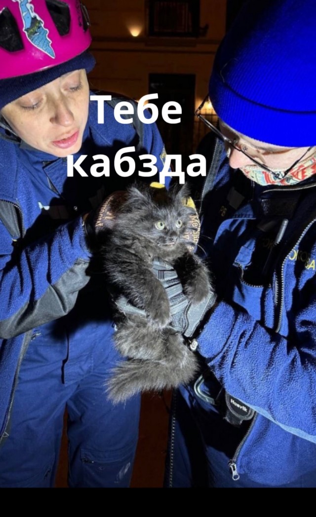 Чучело-Мяучело