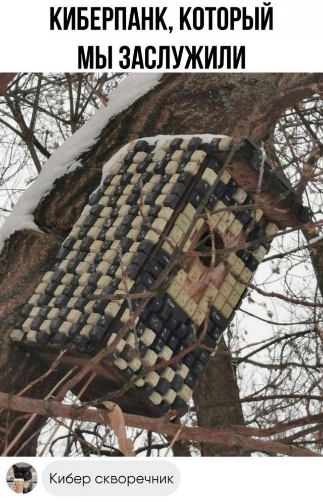 Всего понемногу. От 04.12.2024