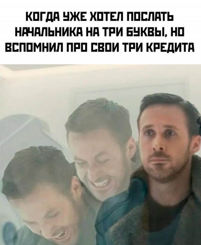 Весёлый полтишок 19.12.24