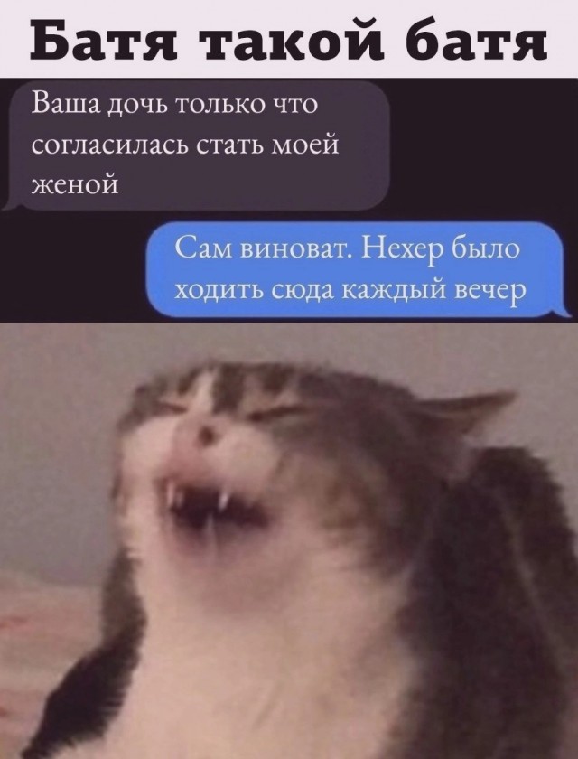 Картинков вам разных.