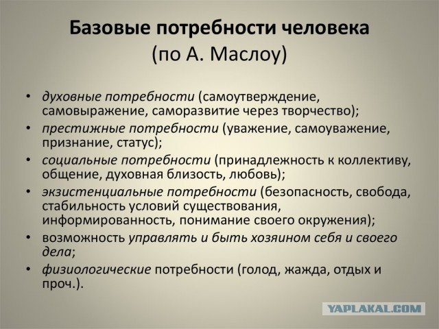Здравствуй, взрослая жизнь