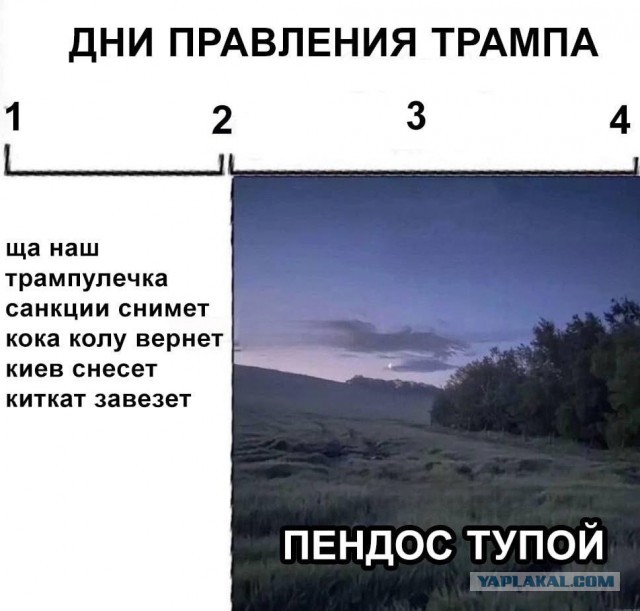 Трамп призвал Россию завершить СВО