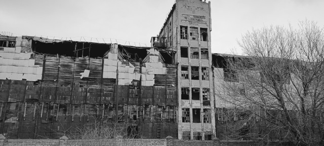 Продолжаю отладку домашних процессов с фотоплёнкой. Зацените ЧБ фотки