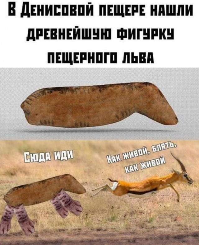 Завалялось тут случайно немного забавных картинок