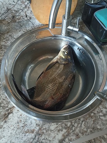 Река Сясь, сыртинки, лещик - 2,600...