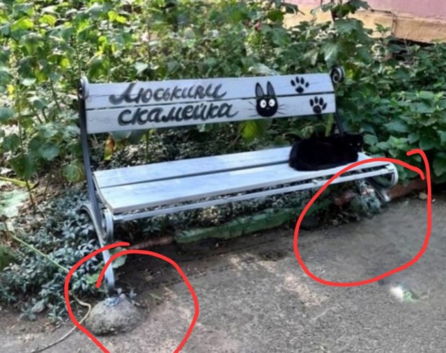 Понятно, кто во дворе главный
