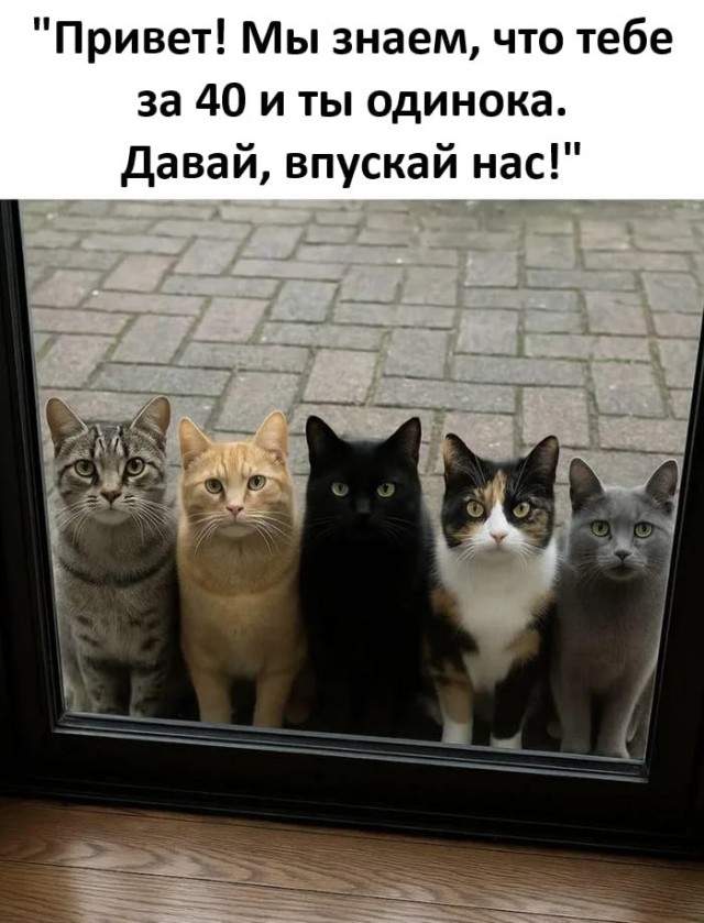 Немного завышена самооценка