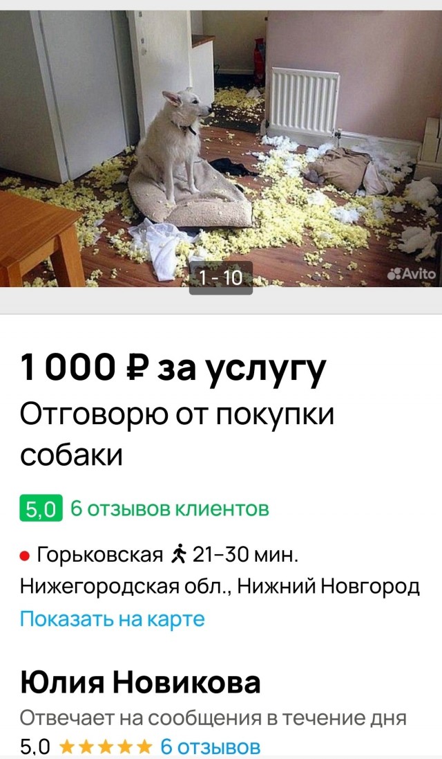 Так себе картинки 15.10.25