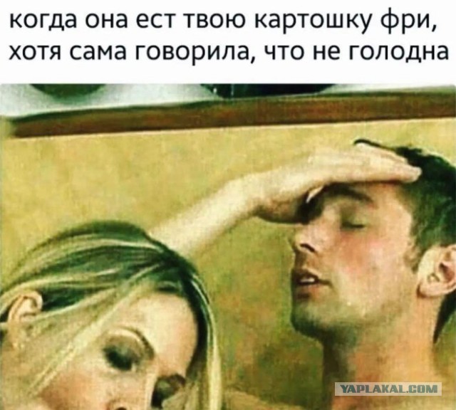 Веселые картинки в пятницу (03.02)