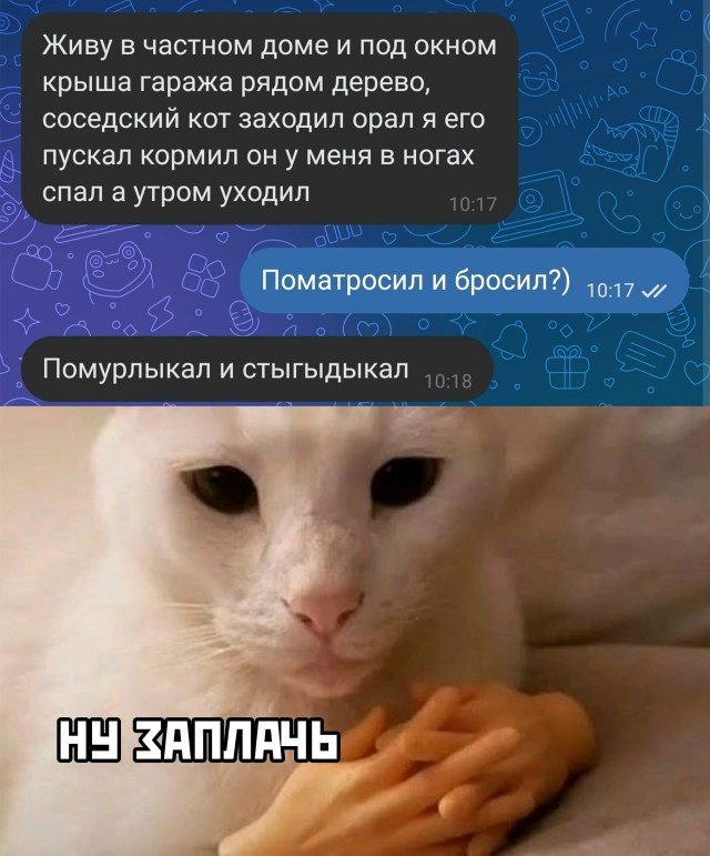 Так себе картинки 02.11.25