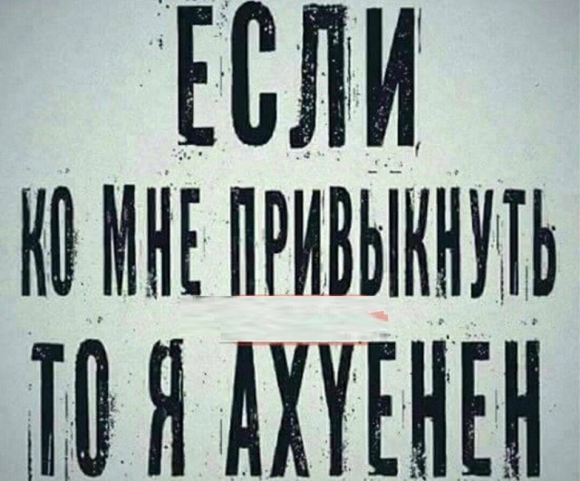 Так себе картинки 04.11.25