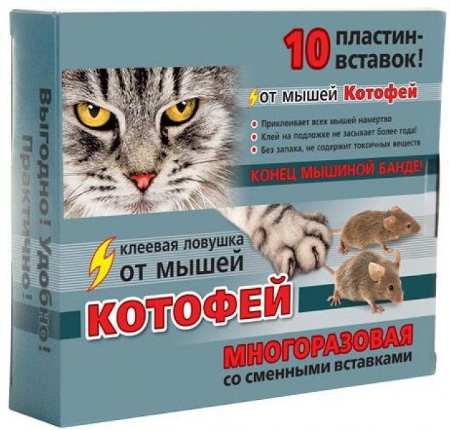 Вопрос скорее деревенским: как изгнать мыша?