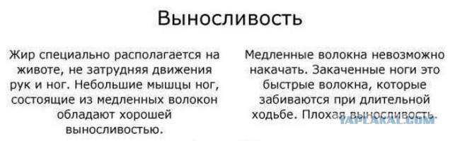 А еще толстяки добрее...