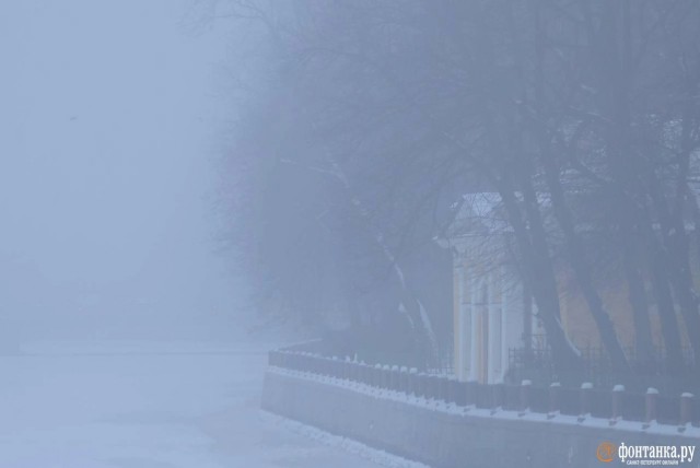 Молочный Питер
