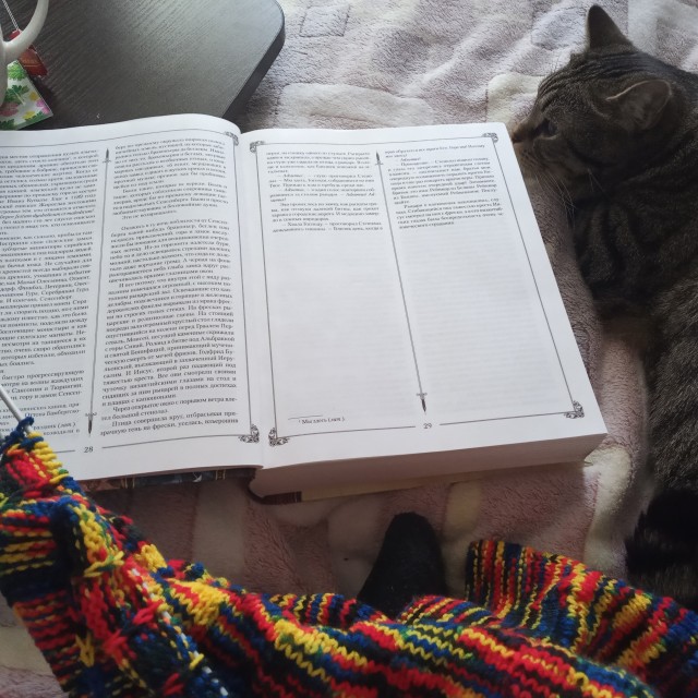 Котики тоже любят читать