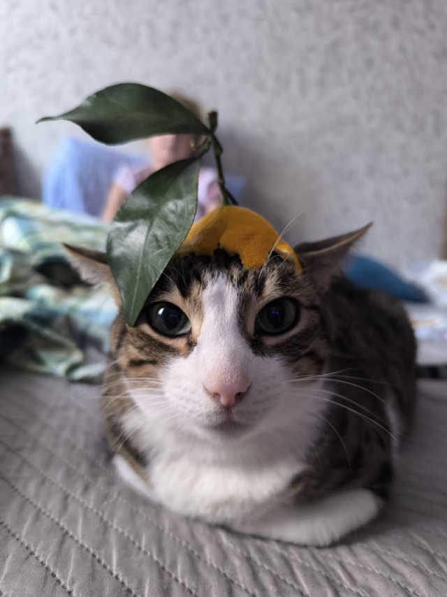 Это что еще такое с утра?