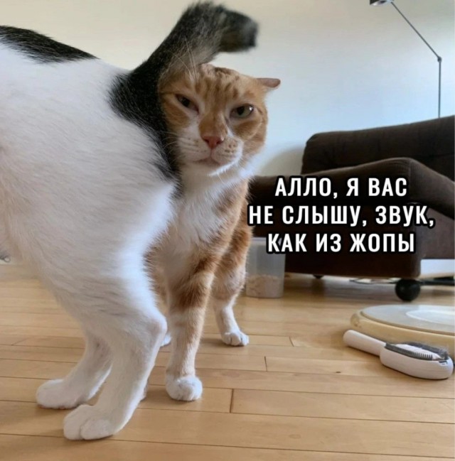 Картинки для деградации 133 (разной степени свежести)