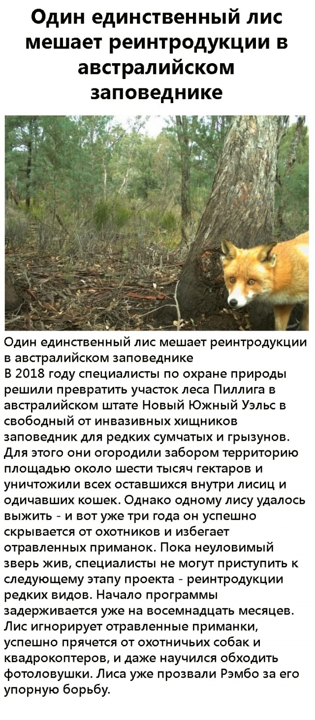 Картиночки, баянчики 05 февраля