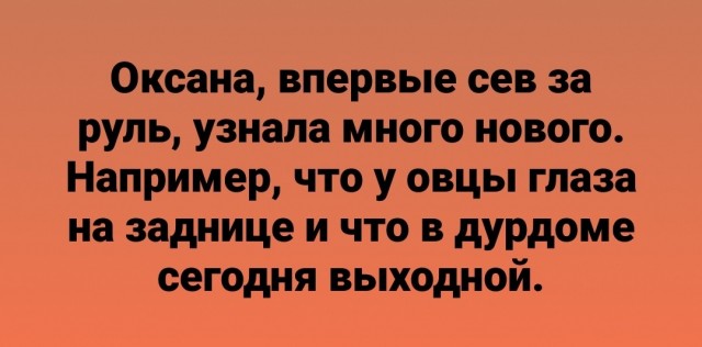 Веселые картинки в пятницу (27.03)