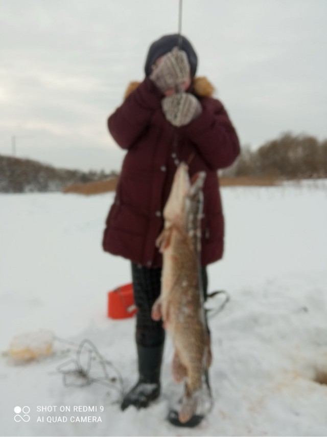 Рыбные дни