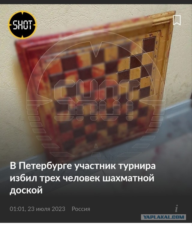 Как бы выглядела драка шахматистов