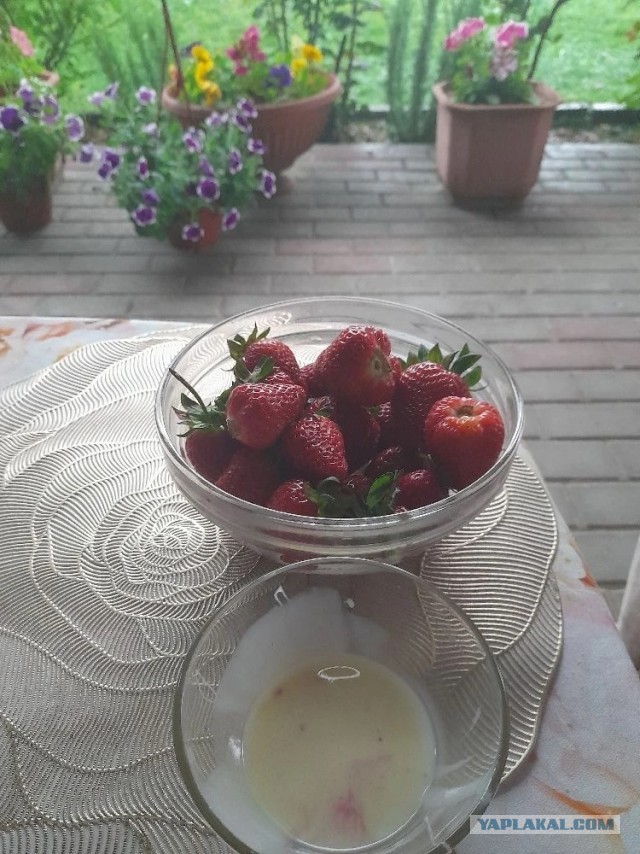 Не дать растаять Снегурчке. Нужна помощь всесильного Япа.