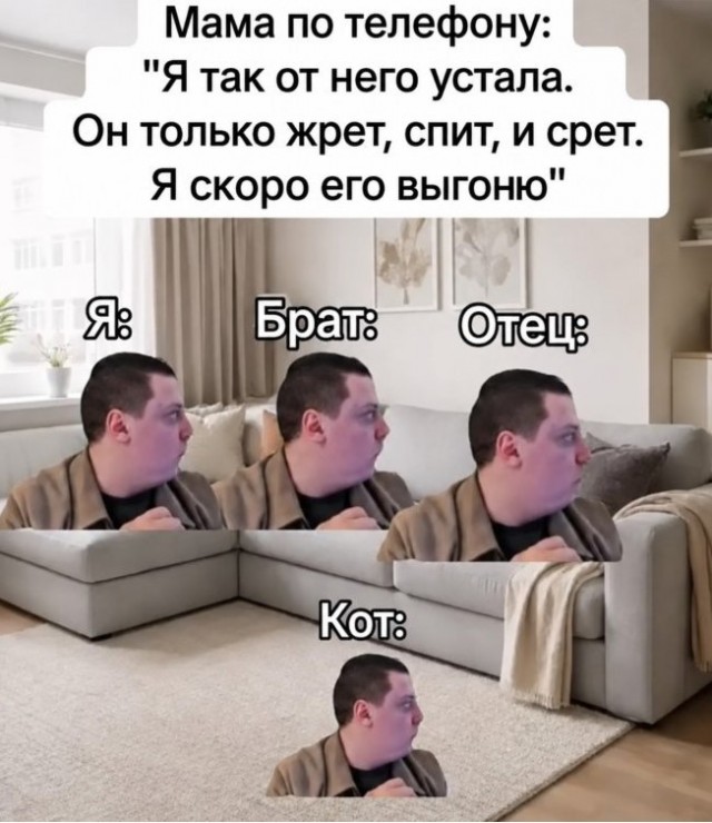 Картинки для деградации 236 (разной степени свежести)