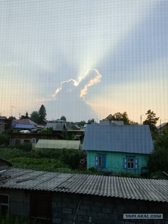 Одно фото